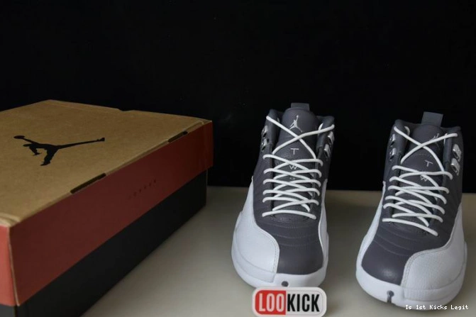 STEALTH CT8025-610 JORDAN AIR 12 0723